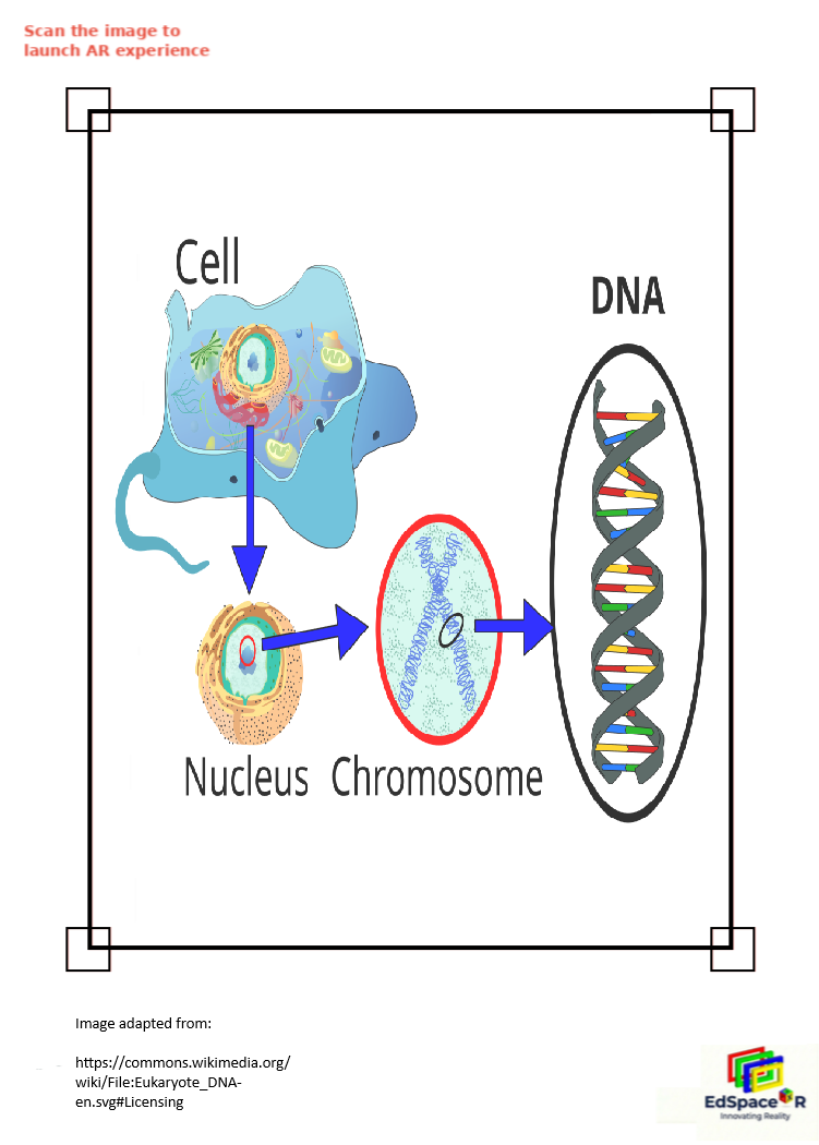 Genetics & DNA learning module preview